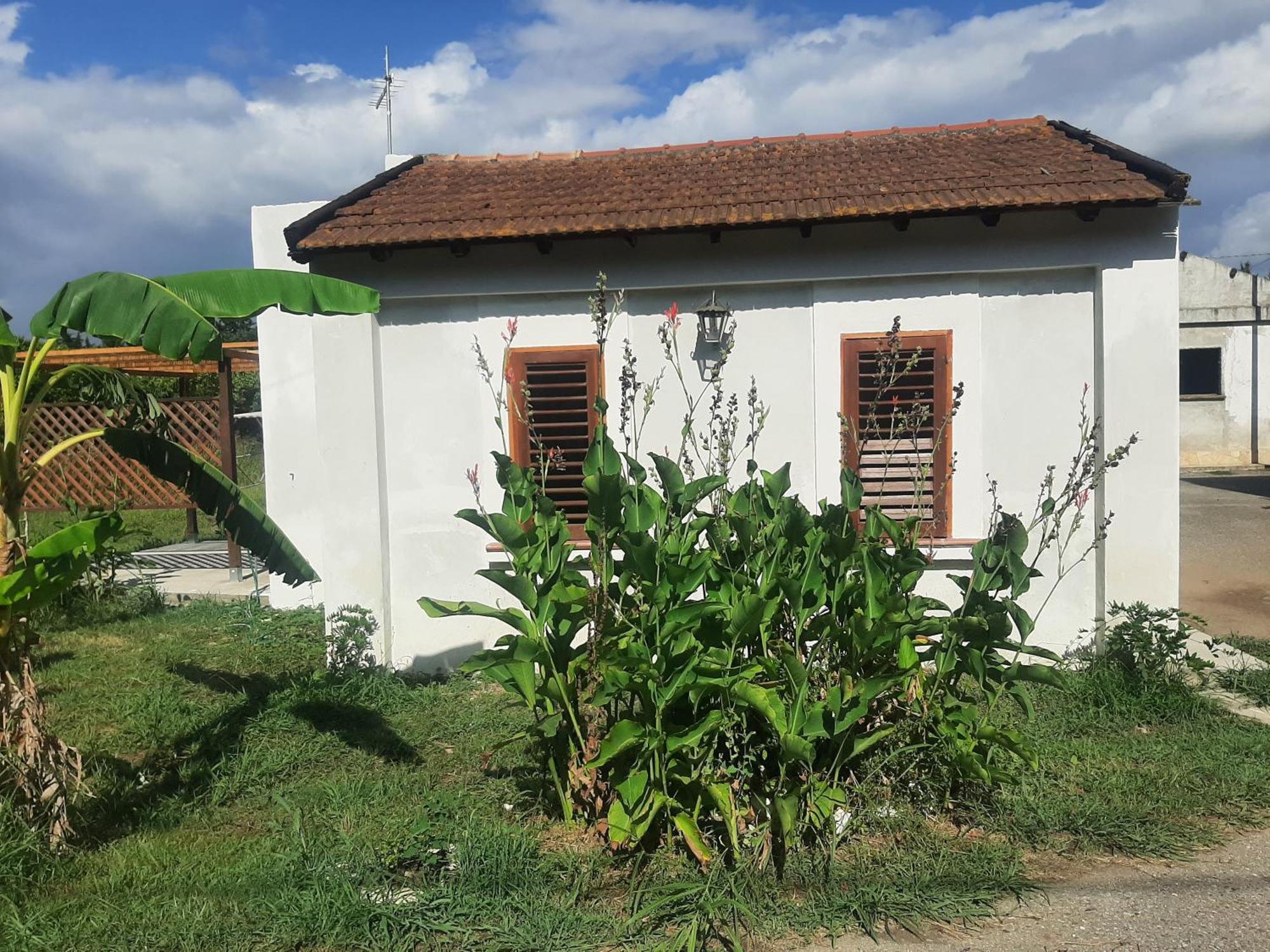 Azienda Agricola Neocastrum Lamezia Terme Buitenkant foto